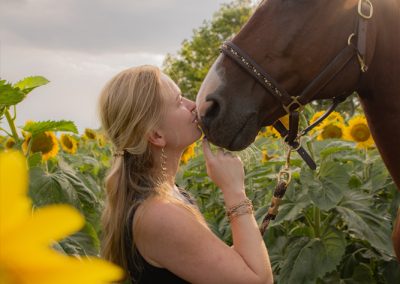 Braunes Pferd und seine Besitzerin in einem Sonnenblumenfeld. Besitzerin küsst Pferd auf die Nase