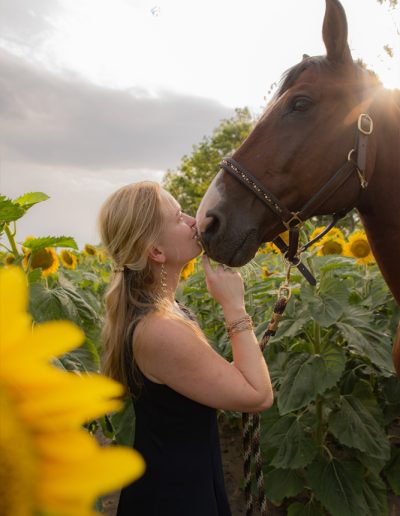 Braunes Pferd und seine Besitzerin in einem Sonnenblumenfeld. Besitzerin küsst Pferd auf die Nase